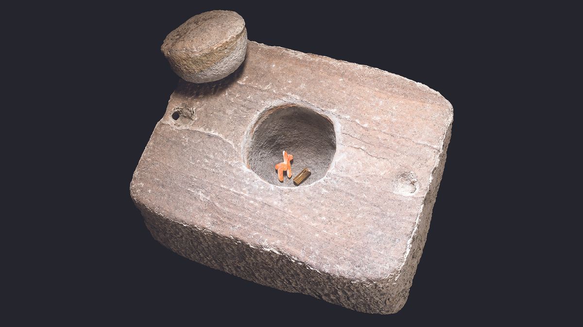 The stone box, its cap and contents: a figurine made of shell, representing a llama or alpaca, and a miniature gold arm band.