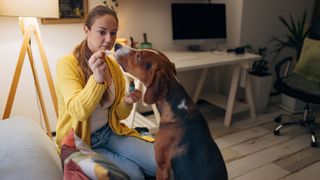 Woman rewards dog with a treat