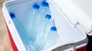 Frozen water bottles in cooler