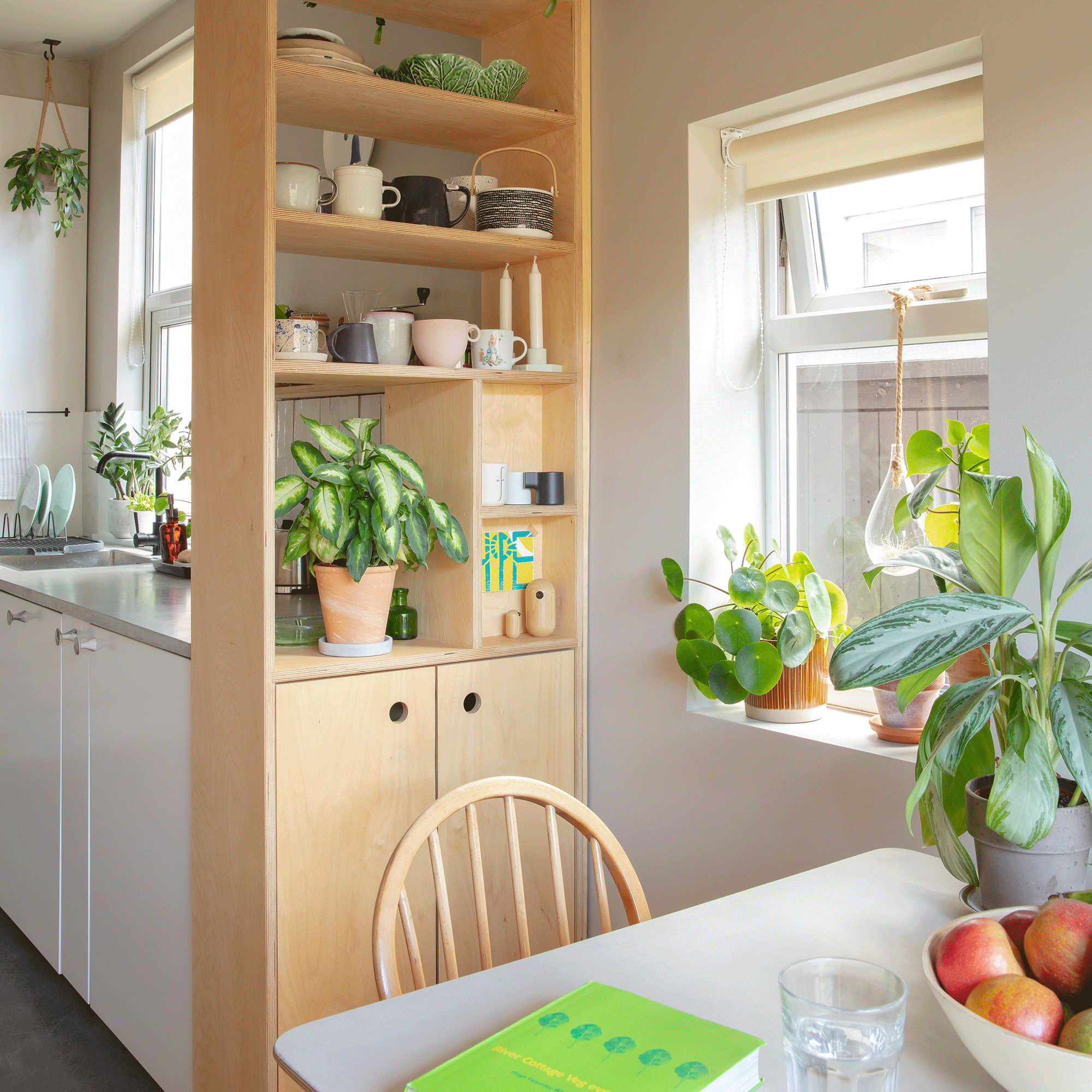 Wooden kitchen with houseplants on shelves and table