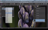 3. How to focus merge with Affinity Photo