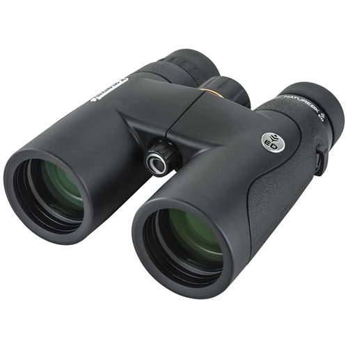 The Celestron Nature DX ED 8x42 binoculars on a white background.