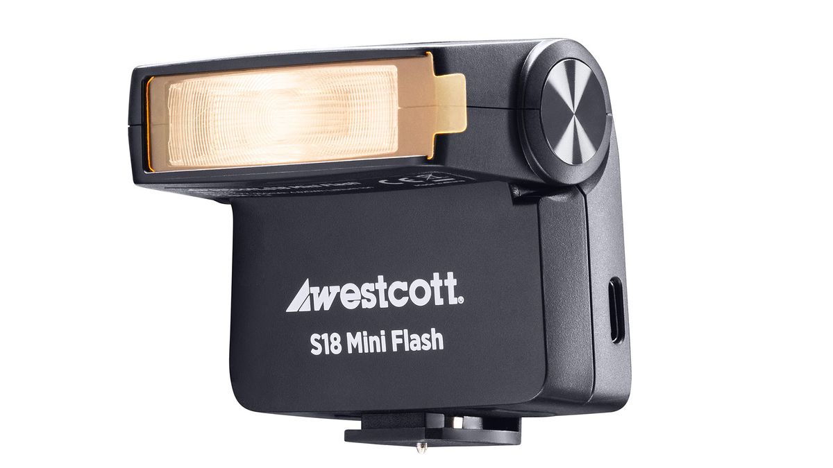 A flashgun.