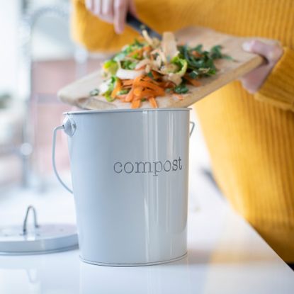 composting bin being used on kitchen counter