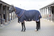 Horseware Rambo Bundle Duo Turnout rug review