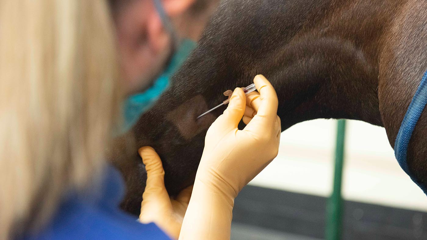Fitting a catheter