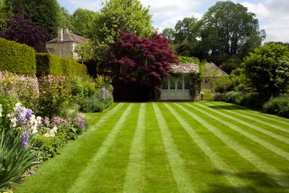 Lawn mower online stripes