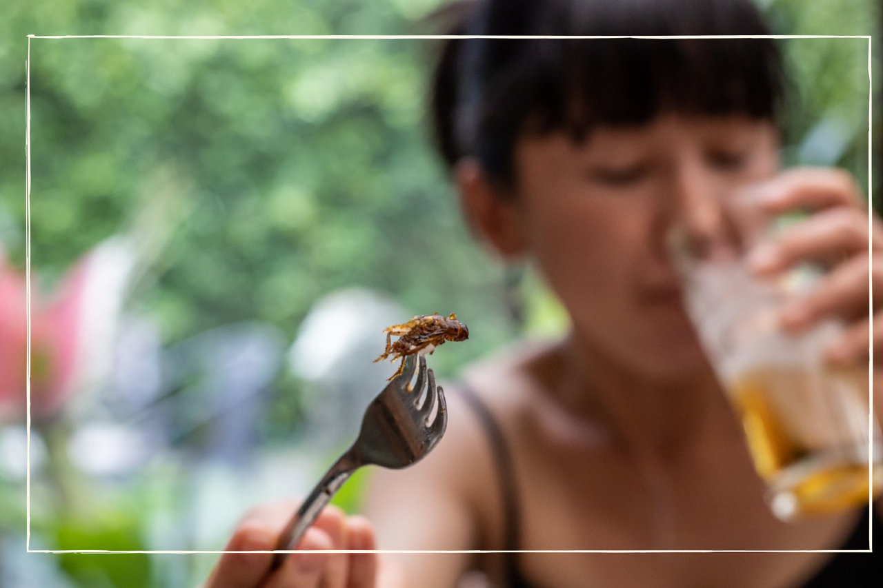 The secret to keeping wasps away from your picnic this summer revealed