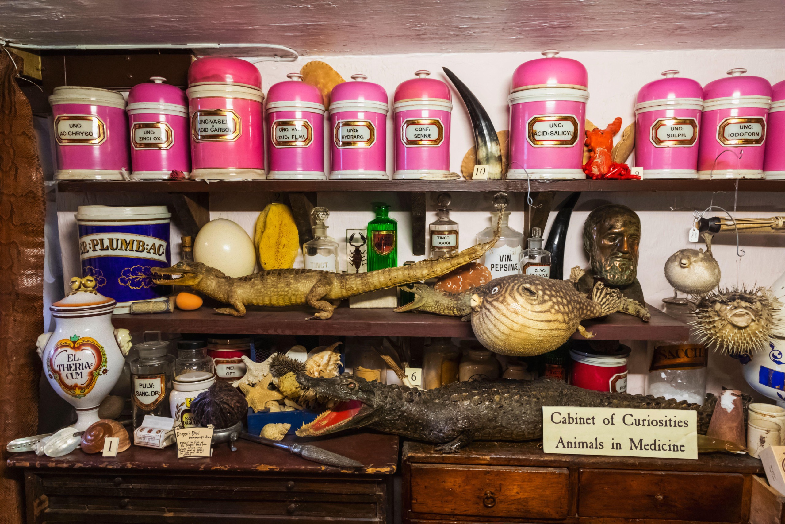 Medical things from Victorian england on a shelf.