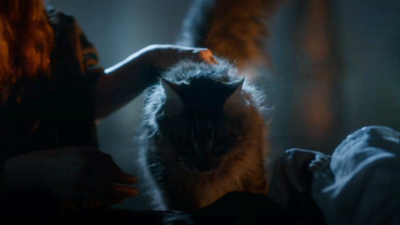 Ser Pounce in Game of Thrones