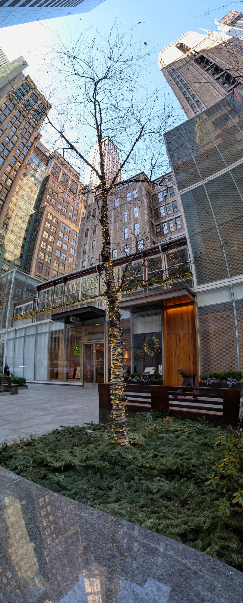 Google Pixel 10 Pro XL vertical panorama sample.