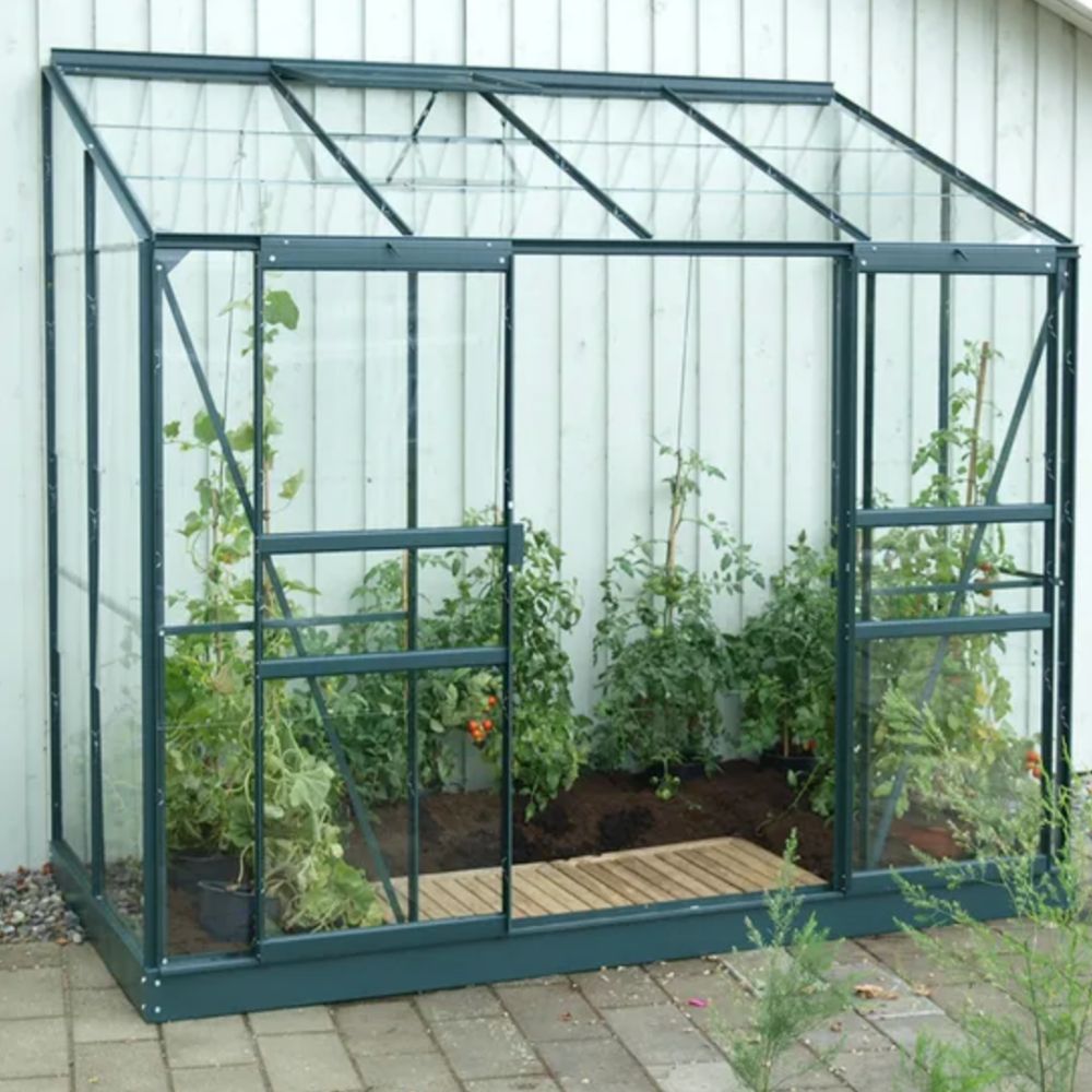 A lean-to greenhouse filled with tomato plants