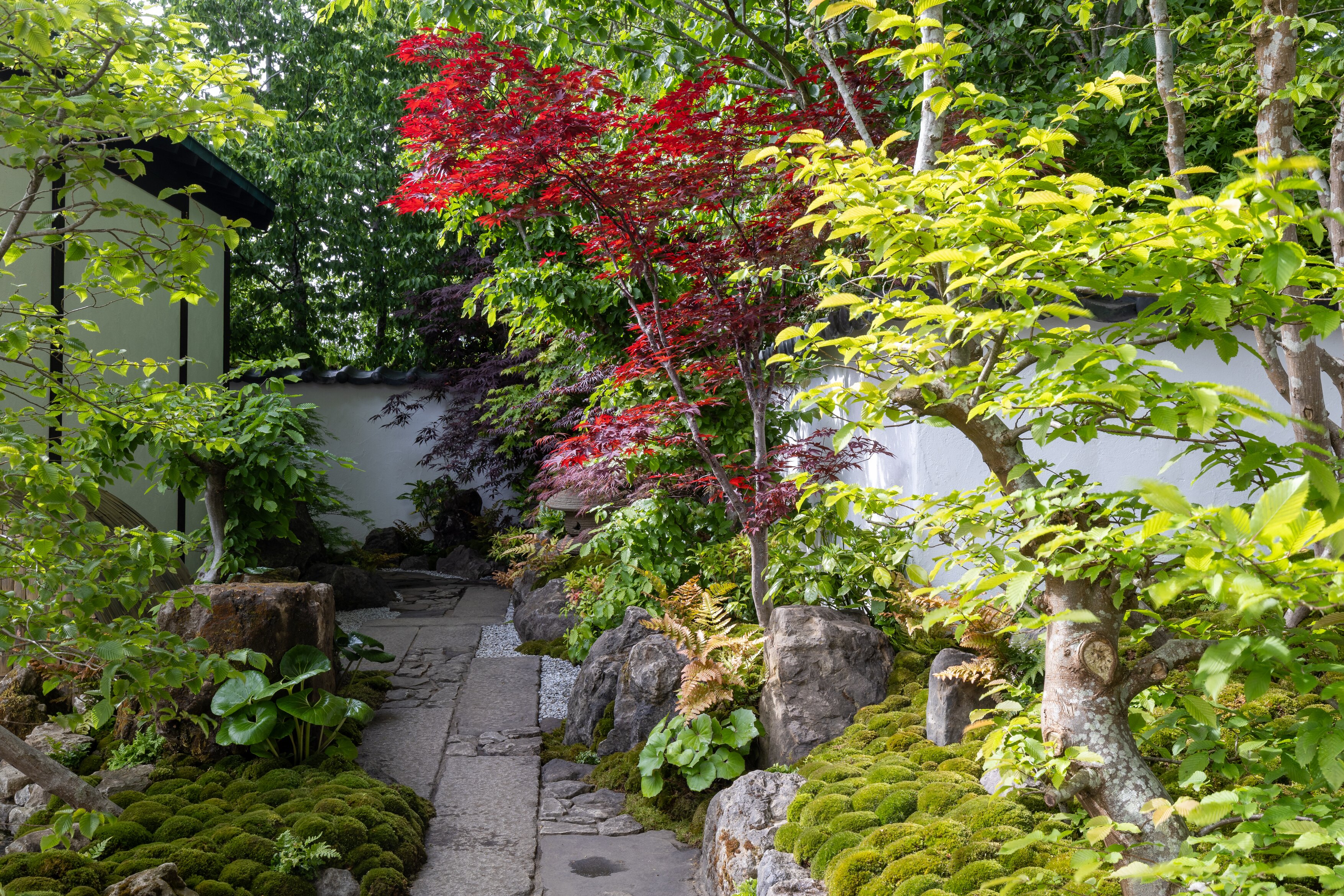 Details of the Tokonoma Garden – Sanumaya no Niwa, a nostalgic garden scene in a japanese style. IE lots of moss and bonsai and stones