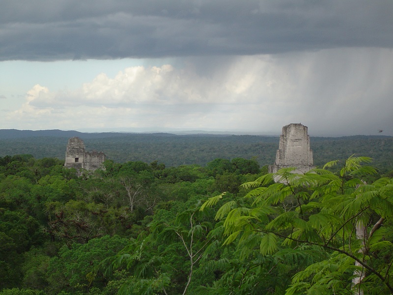 Tikal es uno de los sitios arqueológicos más grandes de Centroamérica.  La ciudad-estado prosperó aproximadamente entre el 600 a. C. y el 900 d. C., con más de dos docenas de grandes pirámides y decenas de miles de habitantes.