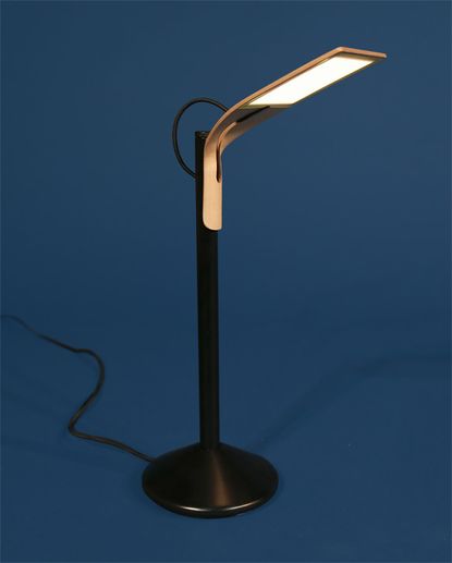 The ‘Platypus’ light owes its name to the subtly zoomorphic shape of its shade