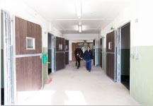 Equine-Vets-18.jpg