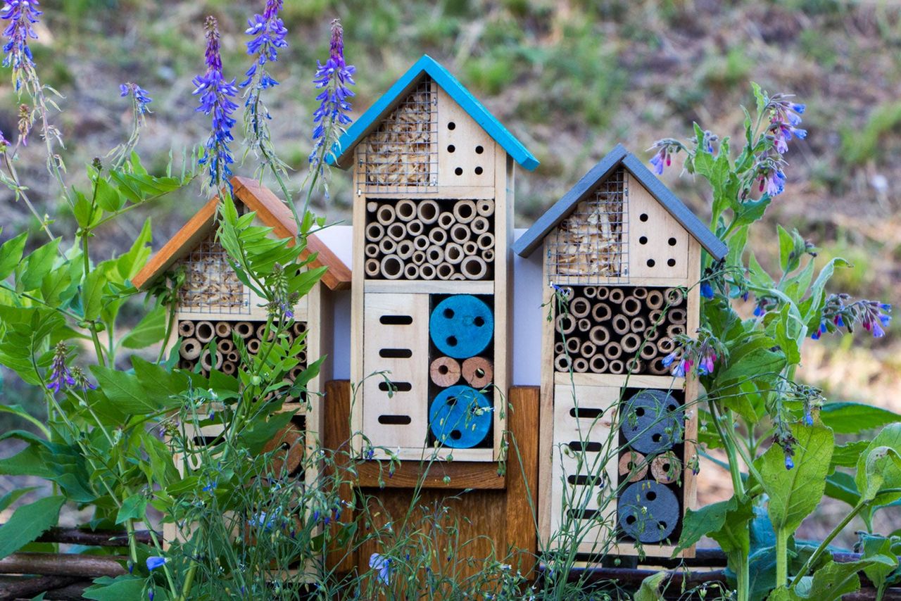Homemade Bug Hotels Building A Bug Hotel For The Garden Gardening Homemade Bug Hotels Building A Bug Hotel For The Garden Gardening