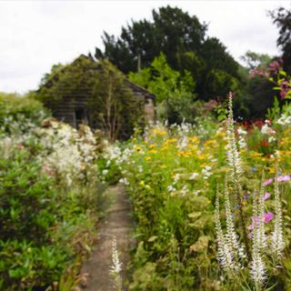 The Manor at Hemingford Grey shows a meadowscaped garden filled with wildflowers