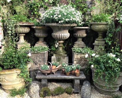 container gardening ideas with stone planters