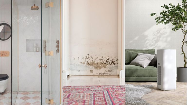 Common types of household mold: how to get rid of them | Homes & Gardens