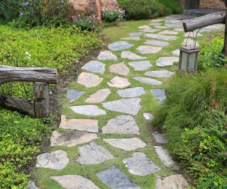 A stone path in a garden