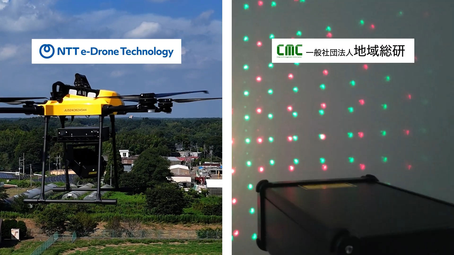 A laser system to scare away wild birds and animals