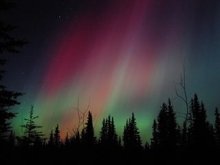 northern lights turn alaska skies pink