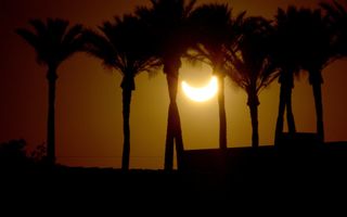 Eclipse Rocking Among the Palms