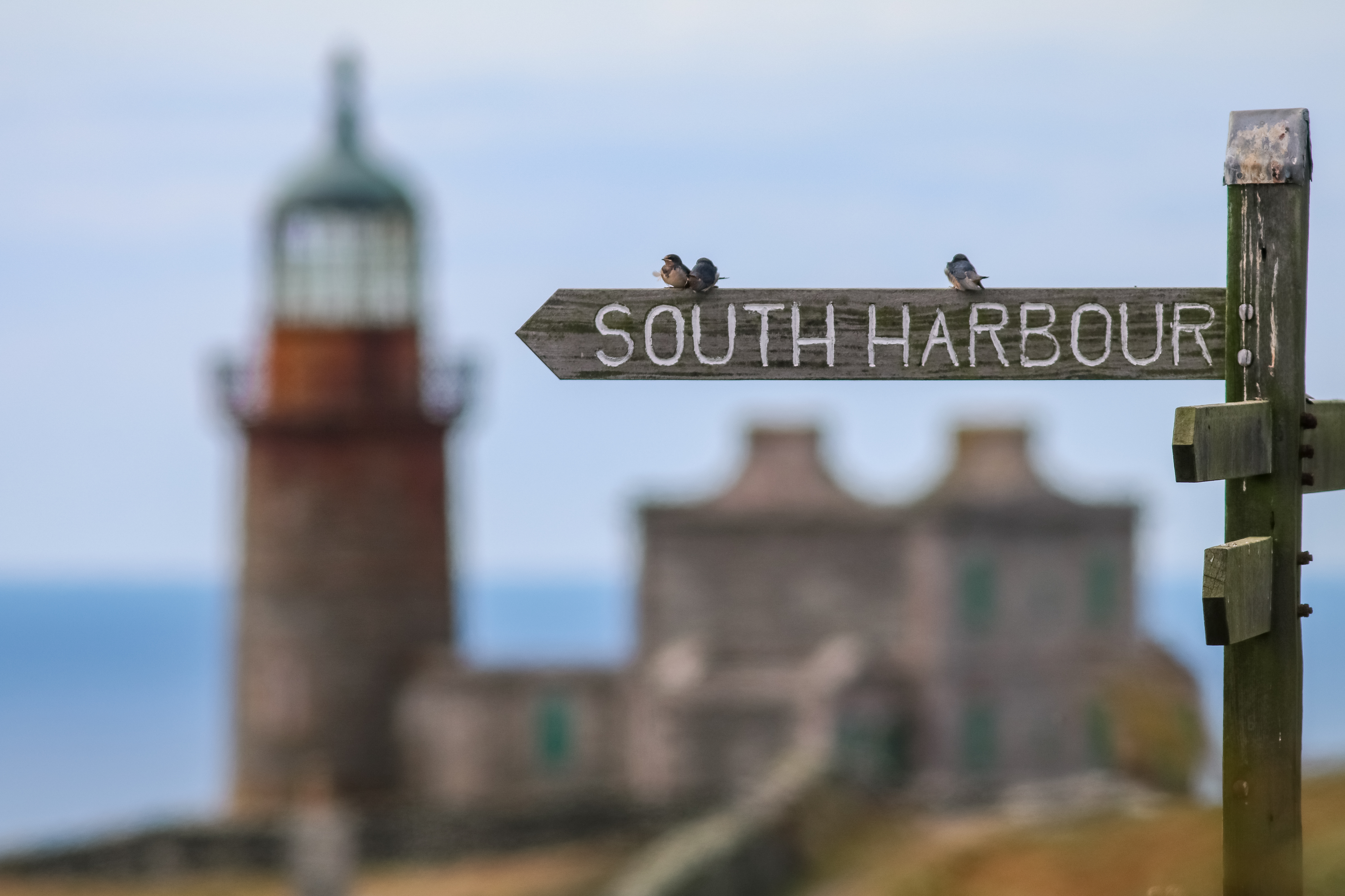 A sign pointing towards South Harbour on the island