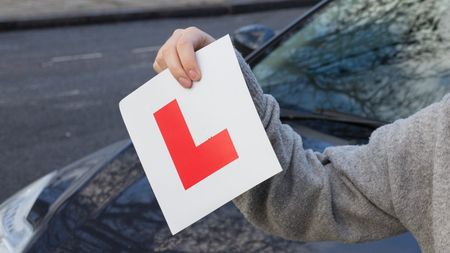 Learner plate