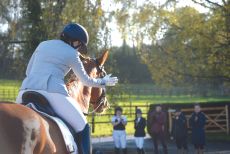Affiliated dressage
