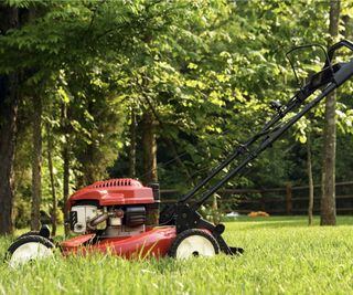 Lawnmower in yard