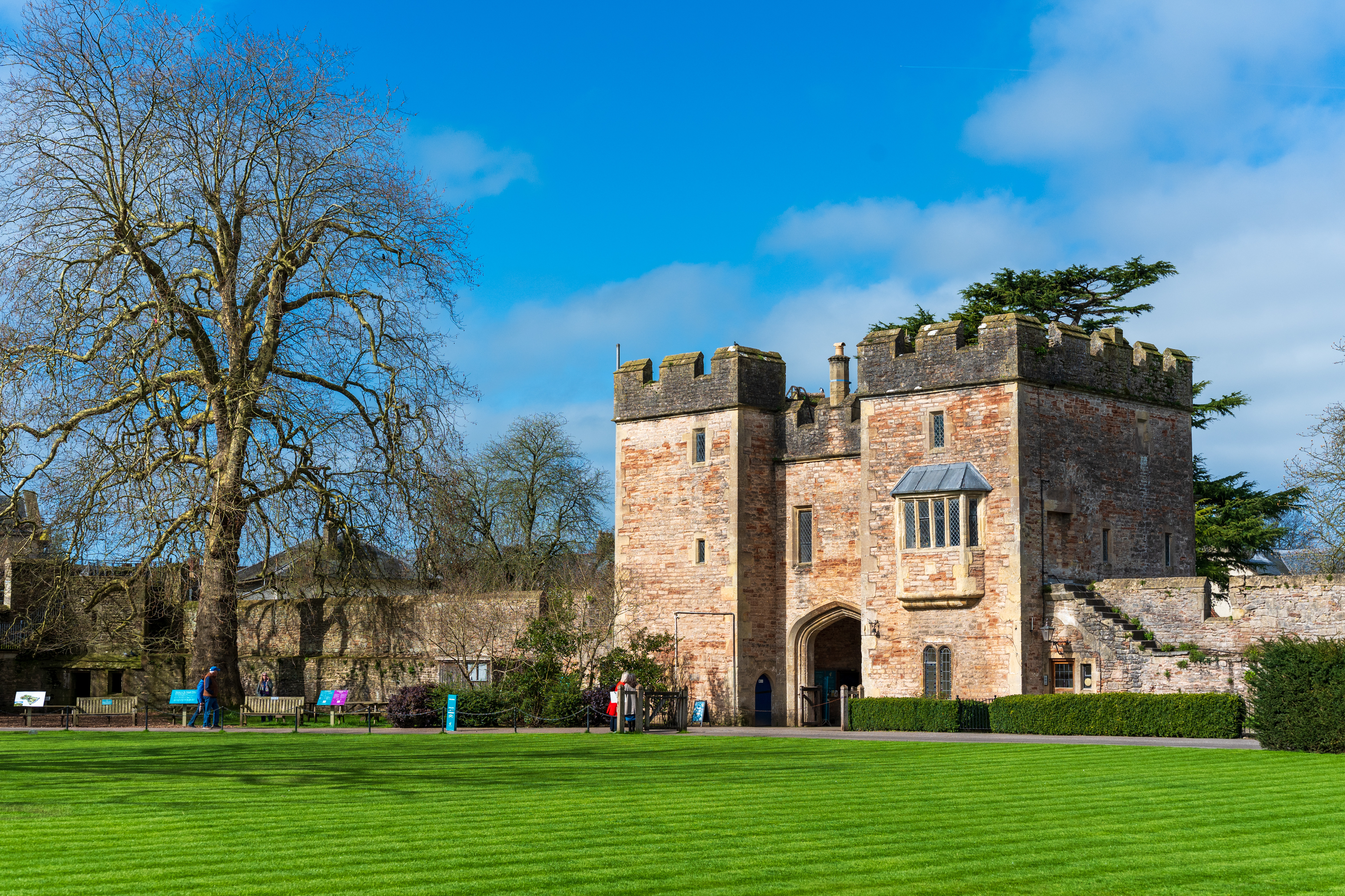 Viltrox AF 55mm f/1.8 Evo sample image