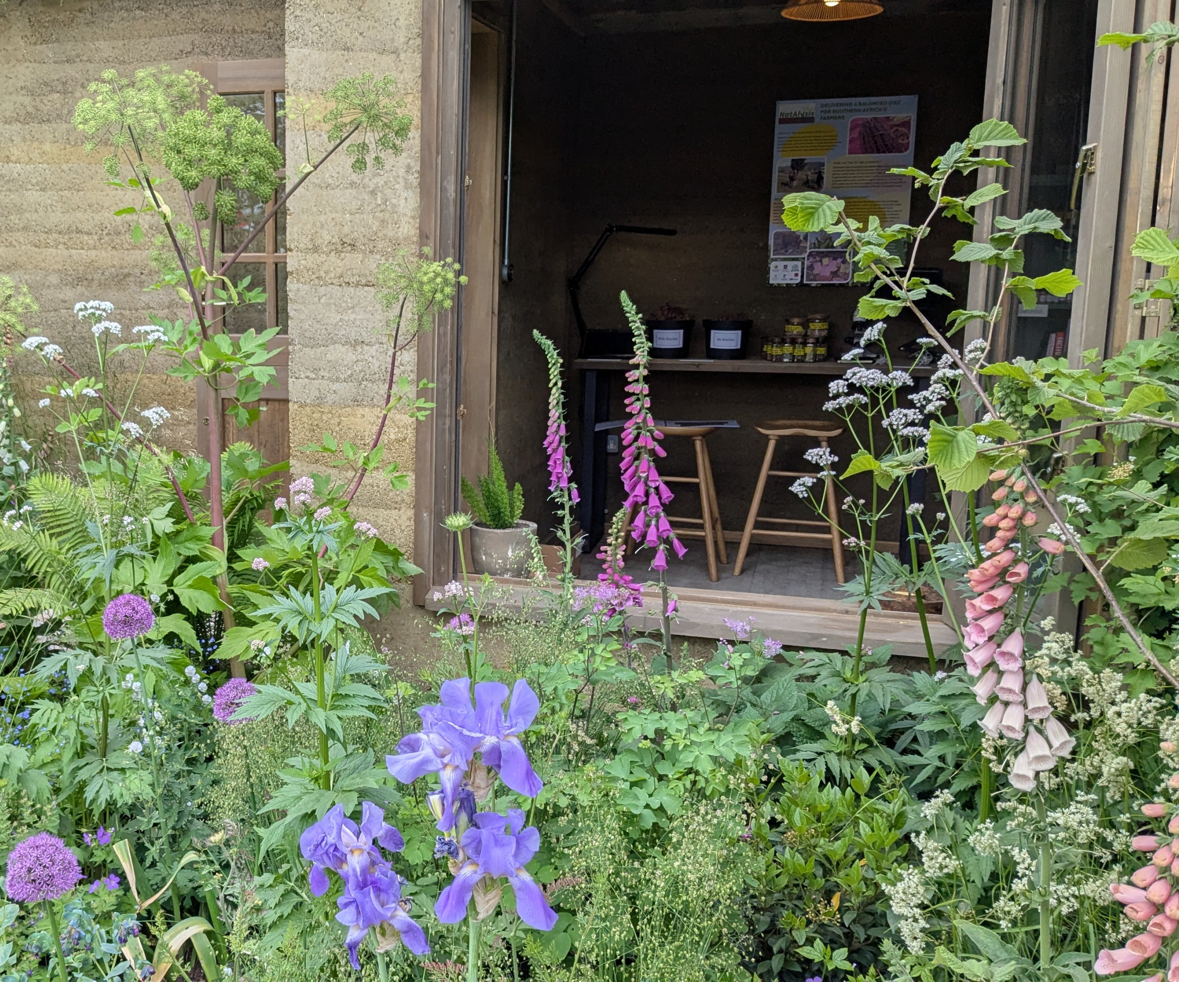 The Garden of the Future at the RHS Chelsea Flower Show