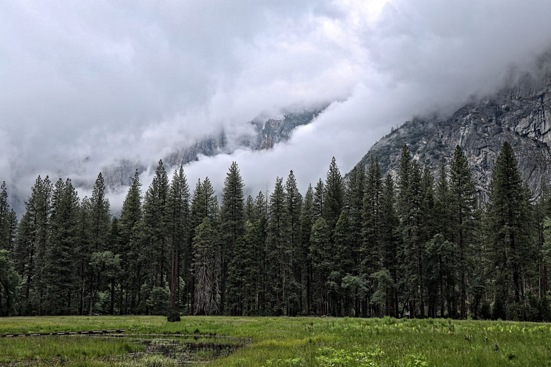 GuruShots - March 2026