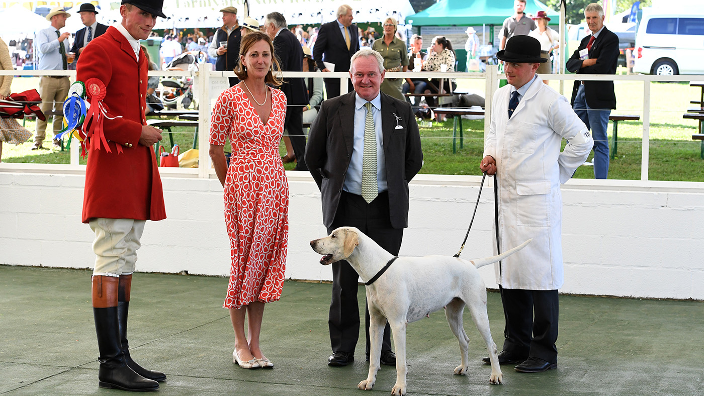 Gt. Yorks Show Foxhounds 14.07.21 Champion Bitch Thurlow -- STORMCLOUD &amp;amp; Elloitt Stokes H/Man Mrs &amp;amp; Mr Robin Vesty Jt/Masters &amp;amp; Jake Walden