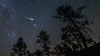 Perseid Meteor Fireball Streaks Above Pine Trees