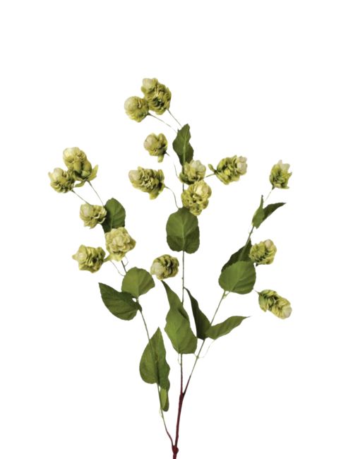 Artificial Hops Greenery Branch - 39"