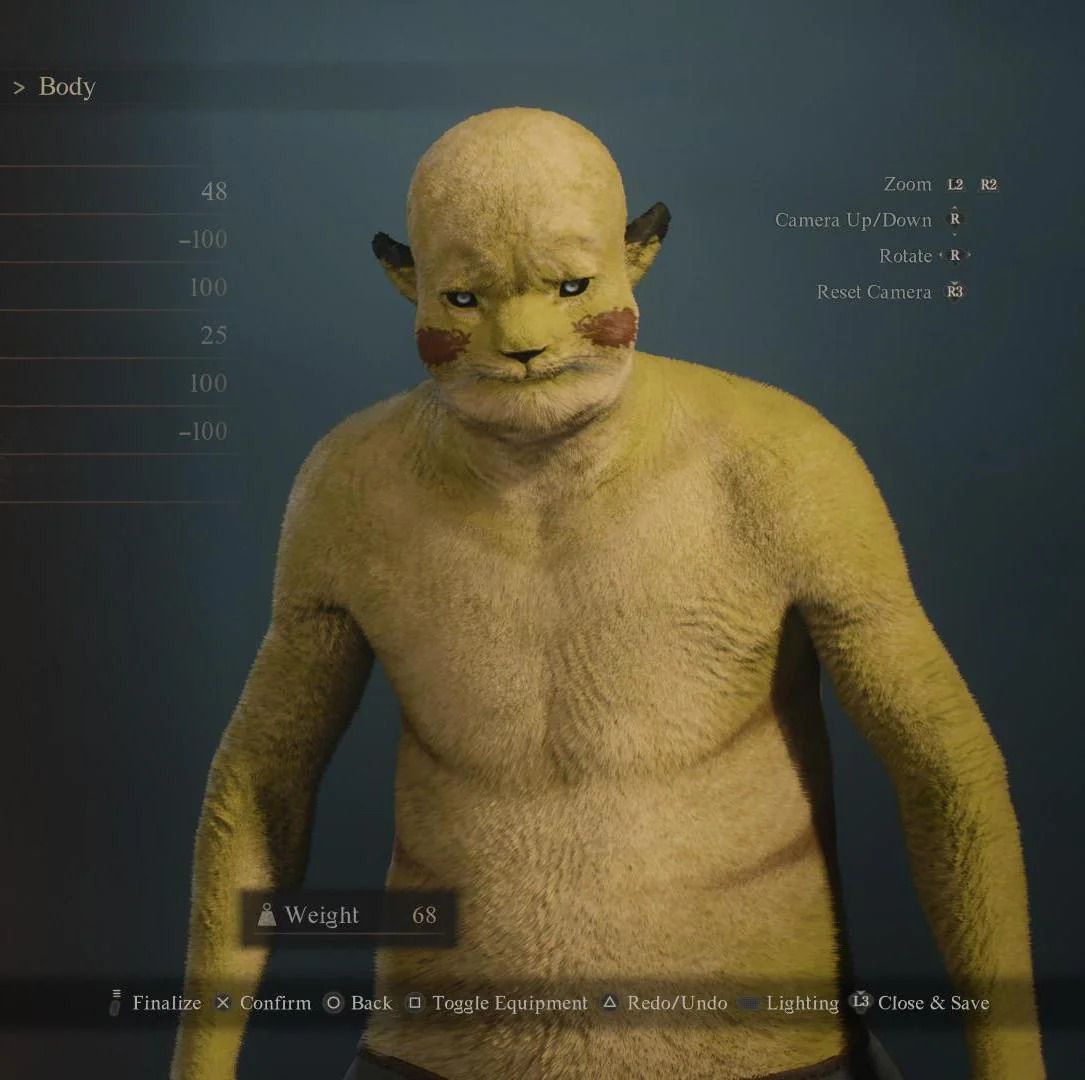 Dragon's Dogma character creator.
