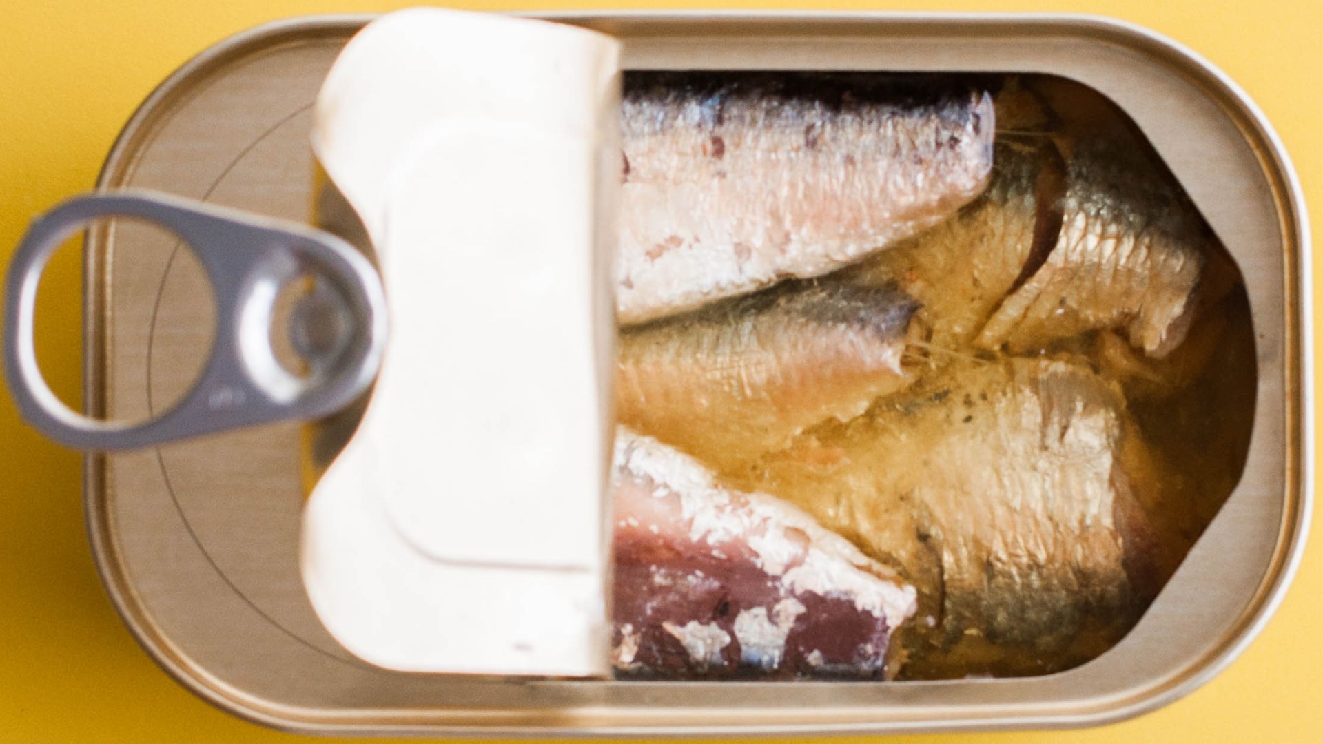 canned fish