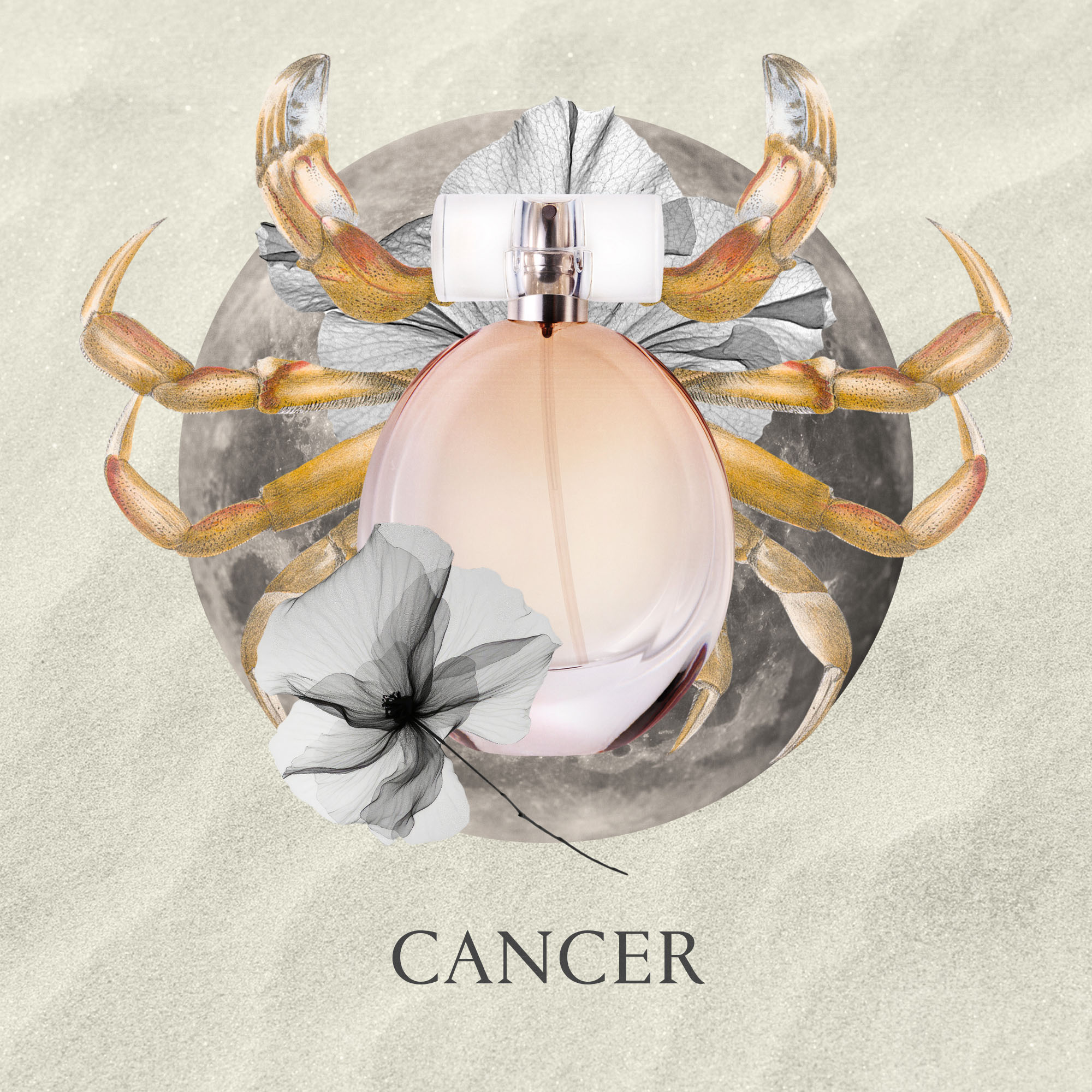 fragrance horoscope