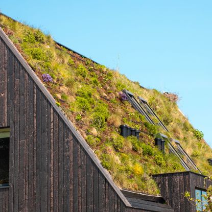 Green roof