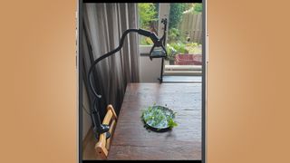 A phone holder holding a phone over a flat lay food arrangement