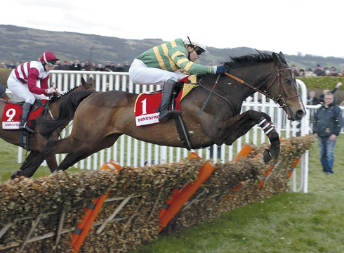 Cheltenham World Hurdle