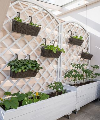 Vertical container garden