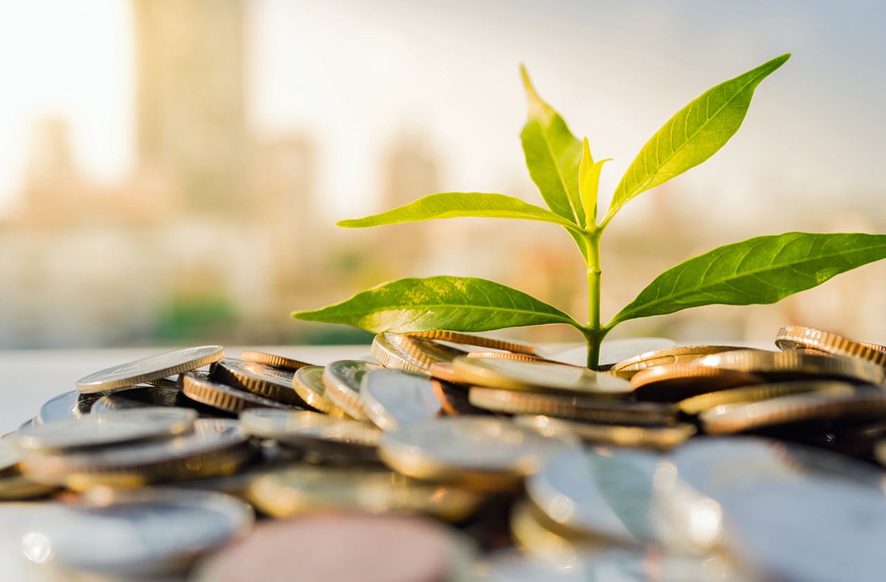 Financial Growth, Plant on pile coins with cityscape background