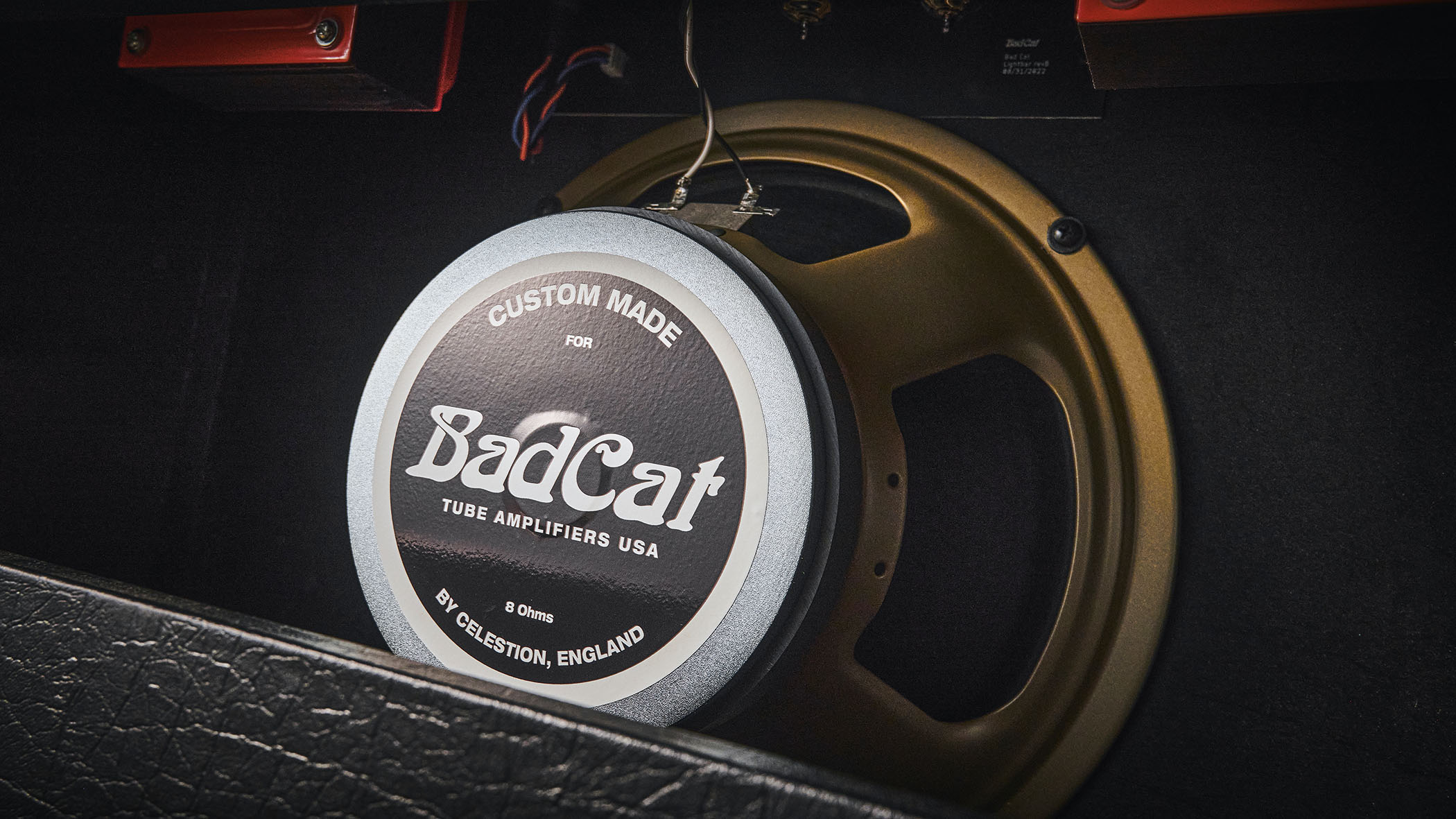 Bad Cat Mod Shop Black Cat Combo: the new boutique tube amp is photographed in closeup