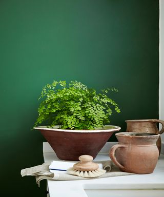 Green kitchen by Little Greene