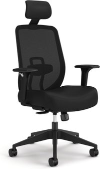 Hon Altern Ergonomic Office Chair with Headrest