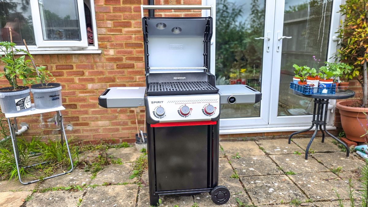 Weber Spirit EX325 grilling foods